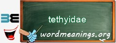 WordMeaning blackboard for tethyidae